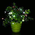 Miniatyrbillede 3 af 5: Batteridrevet 5m 50LED Hjertelysstreng Fest Julelampe