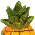 Miniatyrbillede 3 af 5: Akvarium Ananas Hus Spongebob Pynt Rejeskål