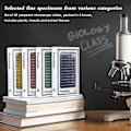 Miniatyrbillede 4 af 5: 48 stk. Plast Mikroskopglas med Forberedte Prøver