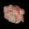 Miniatyrbillede 1 af 4: 20 LED Roseblomst Fe-lys Bryllup Fest Jul Dekoration