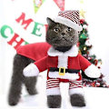 Miniatyrbild 4 av 4: Jul, Katt Jul Med Tomteluva, Juldjursdräkt Julhuvajacka. M