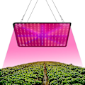 Miniatyrbild 5 av 5: 1st 1000W Full Spectrum LED Växtlampa för inomhusbruk 225 LED