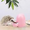Miniatyrbilde 4 av 4: Vannflaske for små dyr, automatisk drikkeflaske for hamster