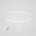 Pikkukuva 5 / 5: 1-lampun LED-pyöreä riippuvalaisin, ympäristövalaistus, maalatut pinnat