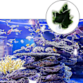 Miniatyrbillede 3 af 5: 3 stk. Betta Blad Flydende Seng Hængekøje Kunstig Plante Fisk Hvile