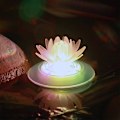 Miniatyrbild 4 av 5: Solcellsdrivna Flytande Lotuslampor för Utomhus RGB LED Damm- och Poolbelysning
