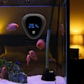Miniatyrbild 3 av 5: Digital Akvarietermometer för Vattenkvalitet, Pool och Tankar