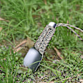 Miniatyrbild 4 av 5: Snabbkoppling för ratt med knapp, snabbkopplingsbas för ratt (röd) (1 st)