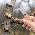 Miniatyrbillede 5 af 5: Ukrudtsfjerner Have Bark Scraper Haveværktøjer Andre Manuel Haveværktøjer Sølv-2stk