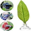 Miniatyrbillede 2 af 5: 3 stk. Betta Blad Flydende Seng Hængekøje Kunstig Plante Fisk Hvile