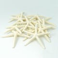 Miniatyrbilde 4 av 5: 24 stk Hvite Finger Sjøstjerner 5-10cm Dekorative Fem-finger Sjøstjerner-yuhao