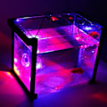 Miniatyrbillede 1 af 5: LED Vandtæt Akvarium Fiskekum Submersible Lys Lampe