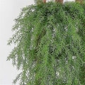 Miniatyrbillede 5 af 5: 2 stk. Kunstige Hængende Planter Grådende Vedbend Vine Udendørs Dekoration
