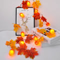 Miniatyrbild 5 av 5: Ek & Lönnlöv Fairy String Lights Höst 2m 10led Batteri Jul