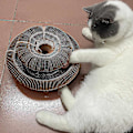 Miniatyrbild 2 av 4: Kattklösbräda med Klockboll Vikbar Matta Interaktiv Leksak