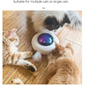 Miniatyrbild 5 av 5: 2-i-1 Interaktiva Katt Leksaker För Inomhuskatter, Kattbollar, Kattmus Leksak, Katt Underhållning Leksaker
