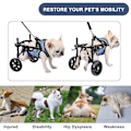 Miniatyrbilde 3 av 5: Hjulstol for hund for bakbein, lett hundehjulstol for små hunder, beinbrakett og hofte støtte, justerbare mobilitetshjelpemidler for funksjonshemmede kjæledyr bu-m