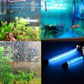 Miniatyrbillede 2 af 5: 6W 1.8m IP68 Vandtæt Akvarium Fiskedam UV Lys