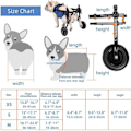 Miniatyrbilde 4 av 5: Hjulstol for hund for bakbein, lett hundehjulstol for små hunder, beinbrakett og hofte støtte, justerbare mobilitetshjelpemidler for funksjonshemmede kjæledyr bu-m