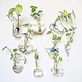 Miniatyrbild 3 av 3: Väggmonterad Akvarium Glasvas Hydroponisk Dekoration