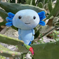 Pikkukuva 2 / 5: Söpö Axolotl-pehmolelu, pehmeä Axolotl-pehmoeläin, Axolotl-pehmolelu lapsille, taaperoille, tytöille ja pojille, 7,9 tuumaa