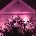 Miniatyrbild 1 av 5: 12m 120LEDs Koppartrådslampor 8 lägen Bröllopslampa