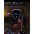 Miniatyrbild 5 av 5: Digital Akvarietermometer för Vattenkvalitet, Pool och Tankar