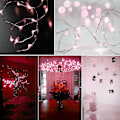 Miniatyrbild 2 av 5: 2m IP66 Vattentät 20 LED Silvertråd Batteridriven Ljuskedja