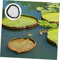 Miniatyrbillede 6 af 8: Damplante Barriere Net Flydende Ø Plante Barriere Fiskedam Net Rund