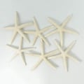 Miniatyrbillede 3 af 5: 24 stk Hvide Finger Havstjerner 5-10cm Dekorative Fem-finger Havstjerner-yuhao