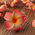 Miniatyrbillede 3 af 5: 20 LED Blomsterlysstreng Bryllupsguirlande Batteri USB Drevet