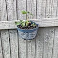 Miniatyrbilde 5 av 5: Sett med 2 hengende blomsterpotter i plast - Avtakbare kroker