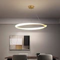 Pikkukuva 3 / 5: 60 cm LED-riipusvalaisin 1-lampun rengasmainen ympyrä, himmennettävä