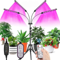 Miniatyrbild 1 av 5: LED Växtlampa för inomhusväxter Fullspektrumfäste Fjärrkontroll