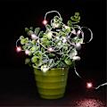 Miniatyrbild 2 av 5: Hög Effektiv 10m 100 LED 3AA Batteri Silver Wire String Light