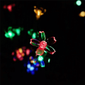 Miniatyrbilde 3 av 5: Utendørs solcelledrevet lyslenke kirsebær 1x Ip65 20 LED