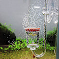 Miniatyrbilde 2 av 5: Akvarium Karbondioksid Transparent Bobleteller Forfiner Fiskedam Vannplanter (l)