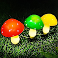 Miniatyrbillede 4 af 5: Udendørs Solcelledrevne Have-Svampe-Lys 8 Tilstande 6stk