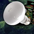 Miniatyrbillede 3 af 4: UVA+UVB Reptil Lampe Pære Skildpadde Solbadning Opvarmningslys