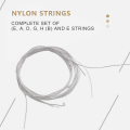 Miniatyrbilde 2 av 5: 6 Nylonstrenger for Klassisk Gitar