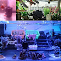 Miniatyrbilde 4 av 5: Xy-180 Fiskedam Akvarium Mini Sylinder Myk Biokjemisk Svampfilter (1 stk, Svart)