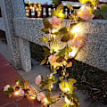 Pikkukuva 5 / 5: Aurinko Rose Fairy String Valot 2m 20led Vedenkestävä