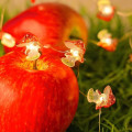 Miniatyrbilde 4 av 5: Solcelled Feelysslyng med 40 LED-lys - 4m - Sopp, Kirsebærblomst, Biene - Utendørs