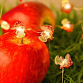 Pikkukuva 4 / 5: Aurinkopaneelit  Fairy String Valot 4m 40led Sienisieni Sakura Mehiläinen Ulkona