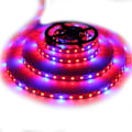 Pikkukuva 1 / 5: 5m Vedenkestävä Led-valonauha 5050 4 Punainen 1 Sininen