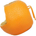 Miniatyrbillede 1 af 5: Fuglefoder Fuglefoder Skålformet Orange Papegøje Papegøje Foderretter Kop Til Små Papegøjer