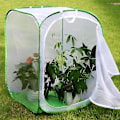 Miniatyrbillede 4 af 5: Høj Stor Butterfly Habitat Bur Collapsible Terrarium Pop-up Lnches, Insekt Og Butterfly Net Til Opdræt Indsæt