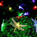 Miniatyrbild 1 av 5: 50 LED Solcells-drivna Fjärilslampor Utomhus, Varmt Vit Ljus, Solcells-drivna Fjärilslampor Utomhus