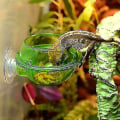 Miniatyrbilde 2 av 2: Sugerkopp Reptilfôrer, Orm Levende Fôrbeholder, Reptilfôrer (2 stk)