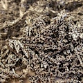 Miniatyrbilde 4 av 5: Vanadiumkrystaller Metall V999 Elementsamling Prøve